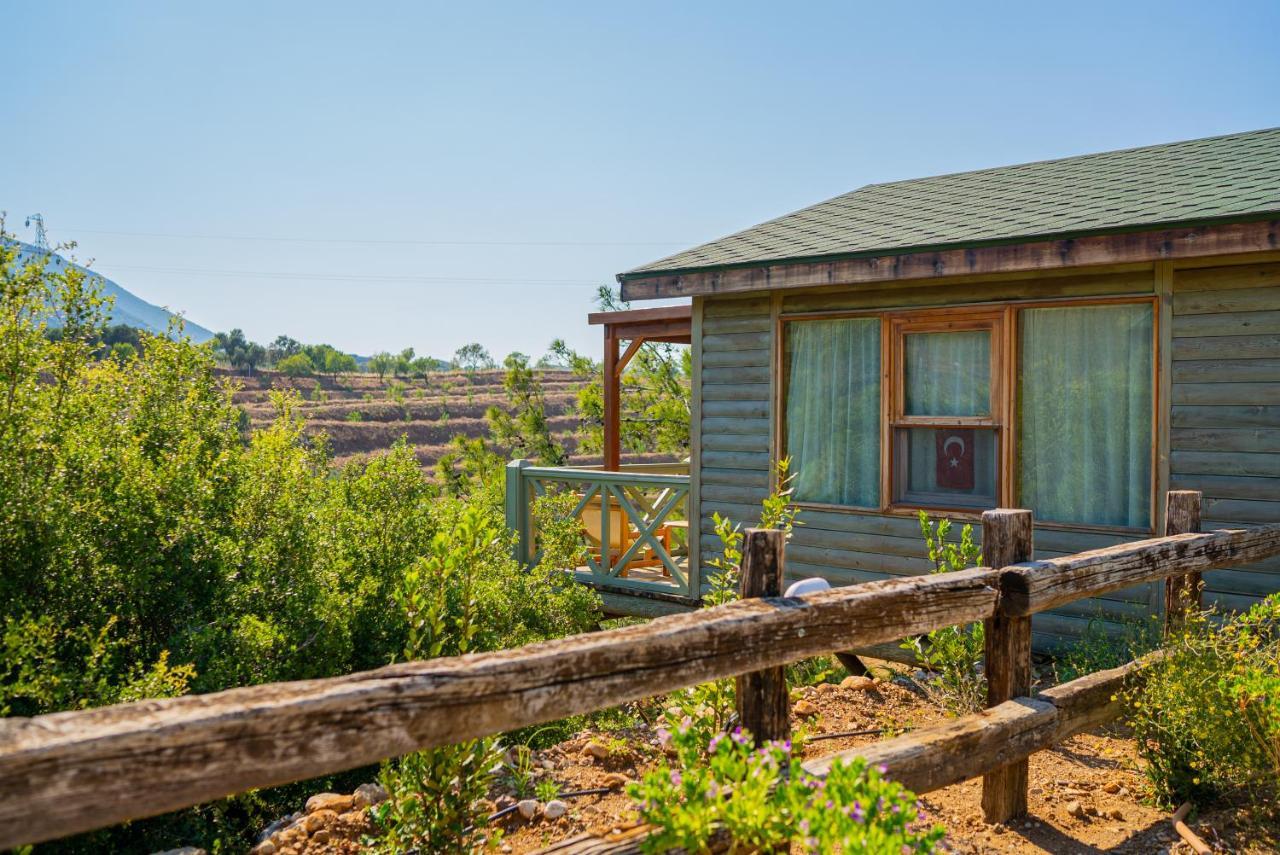 Kairos Valley Health & Nature Resort Datça Dış mekan fotoğraf